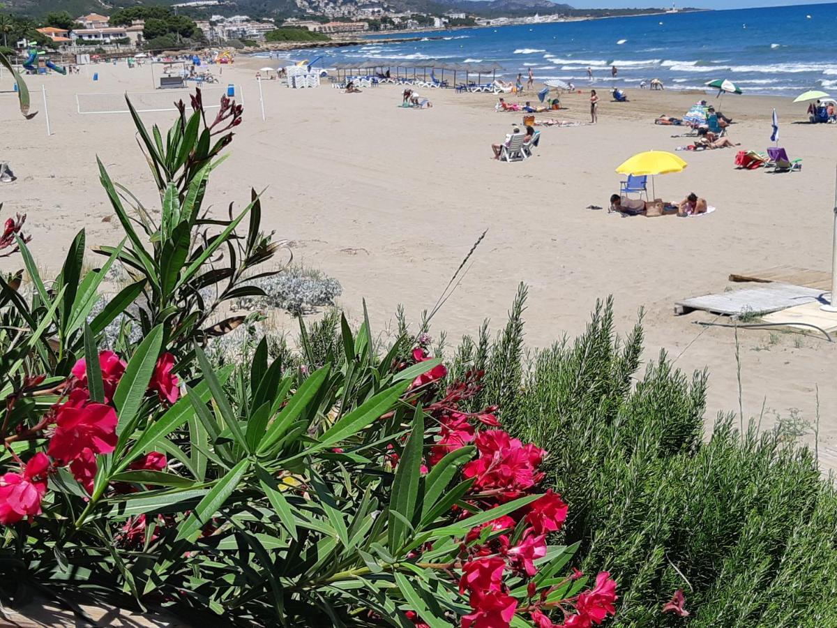 Ferienwohnung Mit Privat-Pool Alcossebre Kültér fotó