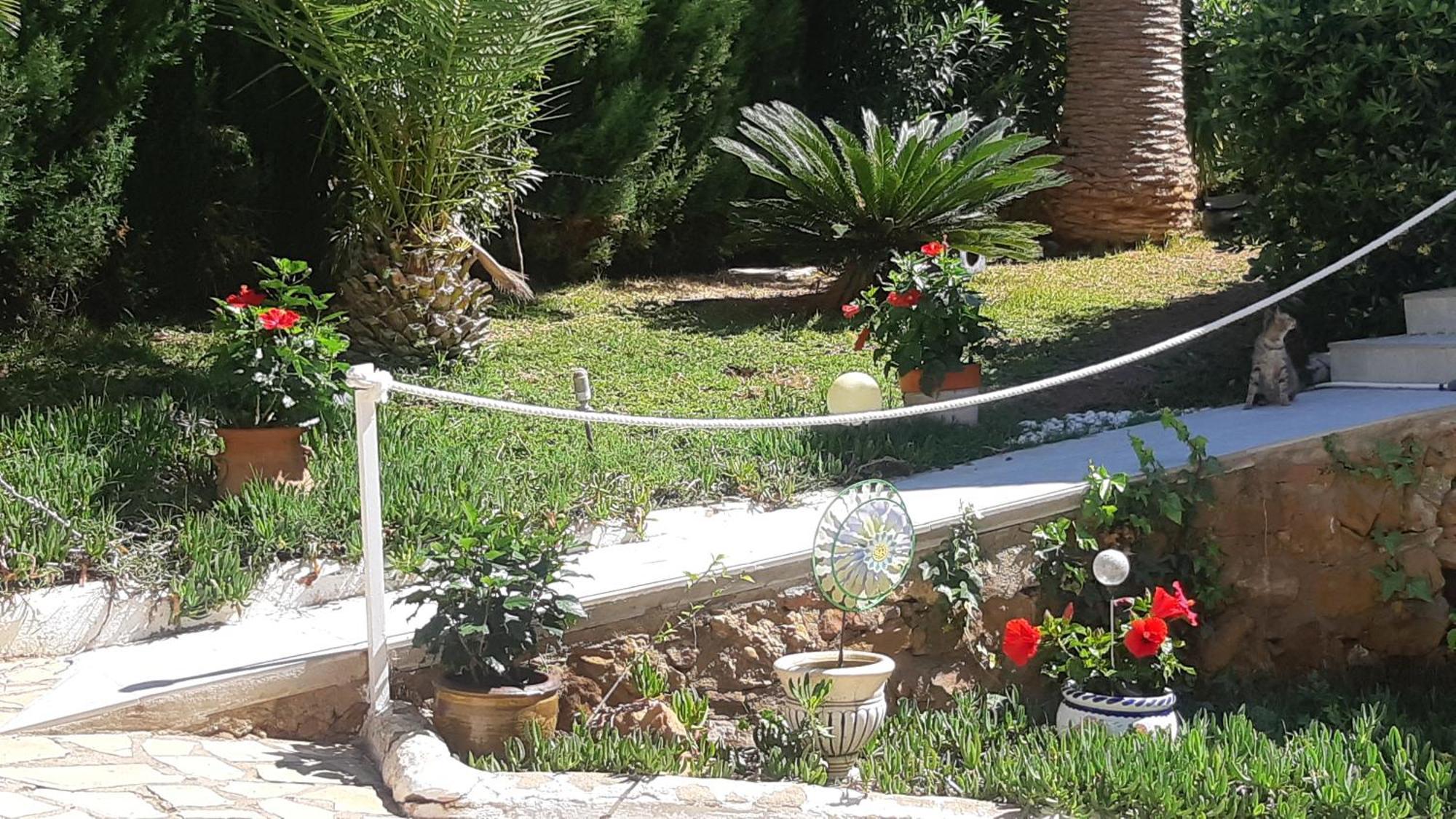 Ferienwohnung Mit Privat-Pool Alcossebre Kültér fotó