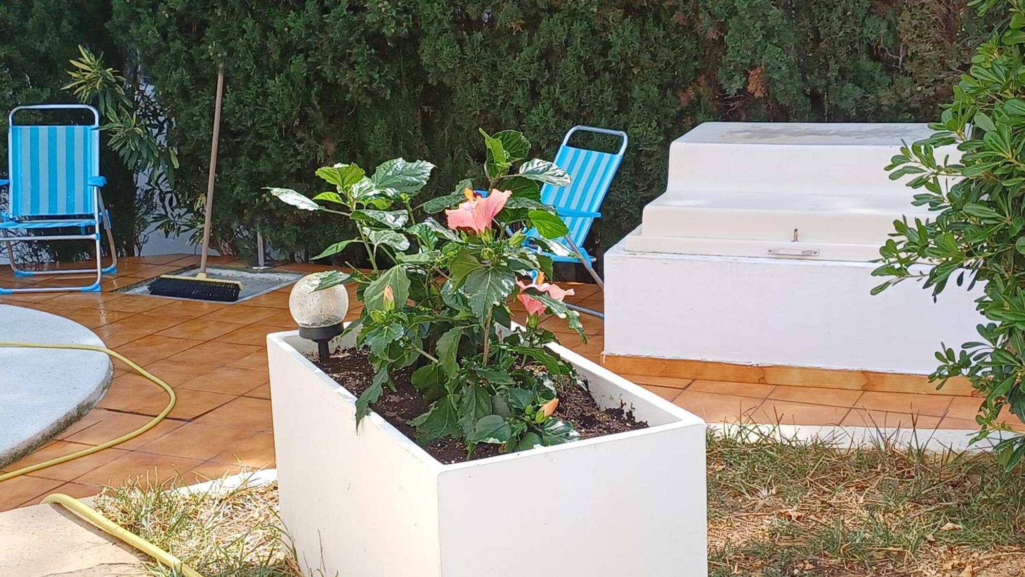 Ferienwohnung Mit Privat-Pool Alcossebre Kültér fotó
